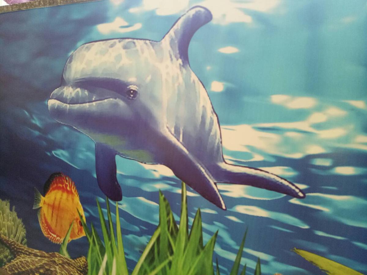Dolphin Castle Bed and Breakfast Donggang Exteriör bild